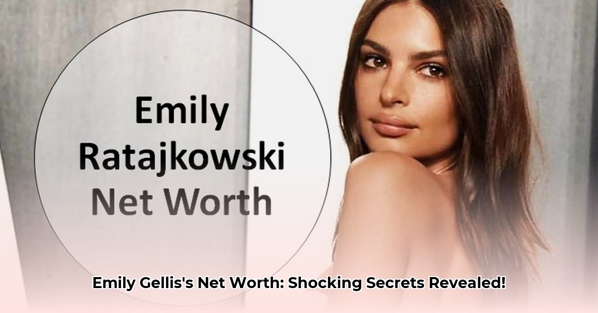 emily-gellis-net-worth